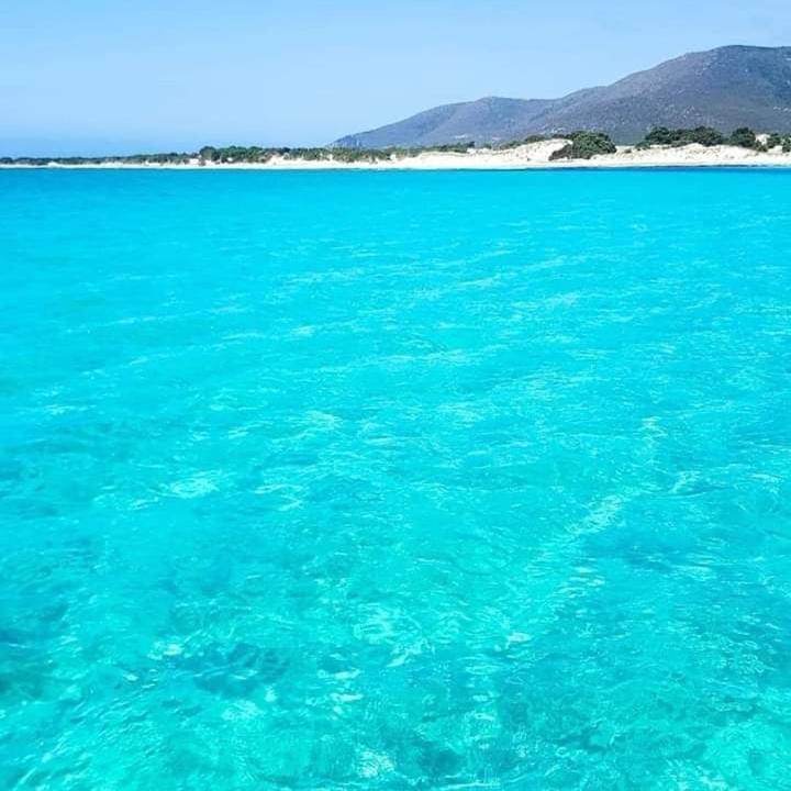 Casa Vacanze"Il Bouganville" 卡尔博尼亚 外观 照片